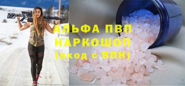 стаф Аркадак