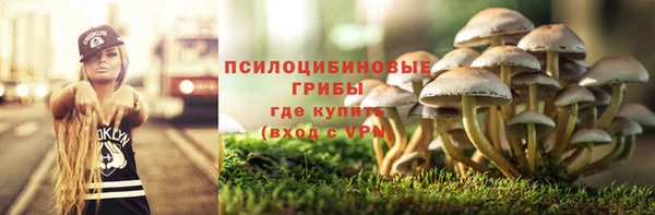 мяу мяу мука Арсеньев