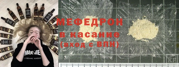 стаф Аркадак