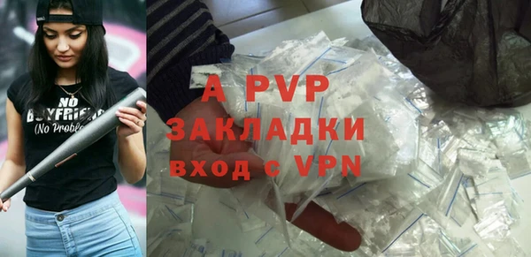 стаф Аркадак